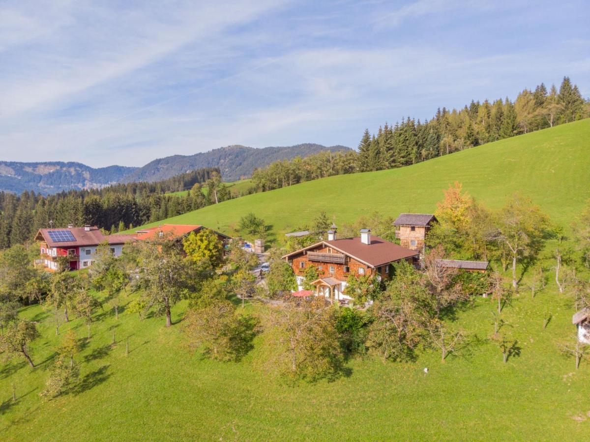 Holiday Home Oberhaslach By Interhome Abtenau Zewnętrze zdjęcie