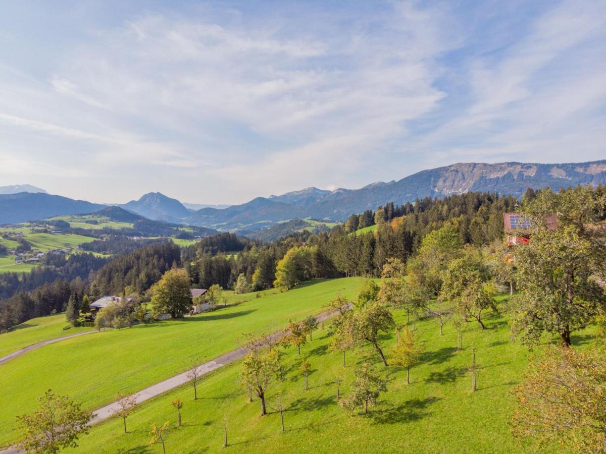 Holiday Home Oberhaslach By Interhome Abtenau Zewnętrze zdjęcie